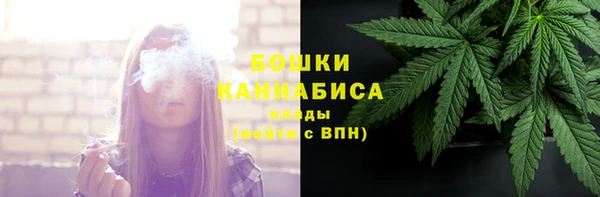 спиды Богданович