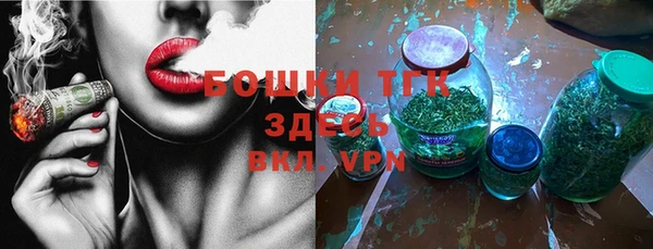 спиды Богданович