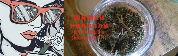 спиды Богданович