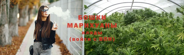 спиды Богданович