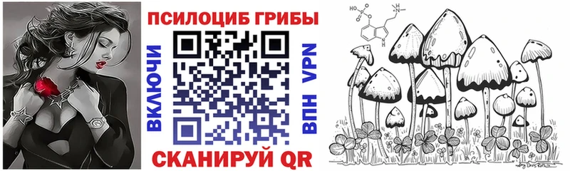 где найти наркотики  Ялуторовск  Галлюциногенные грибы мицелий 